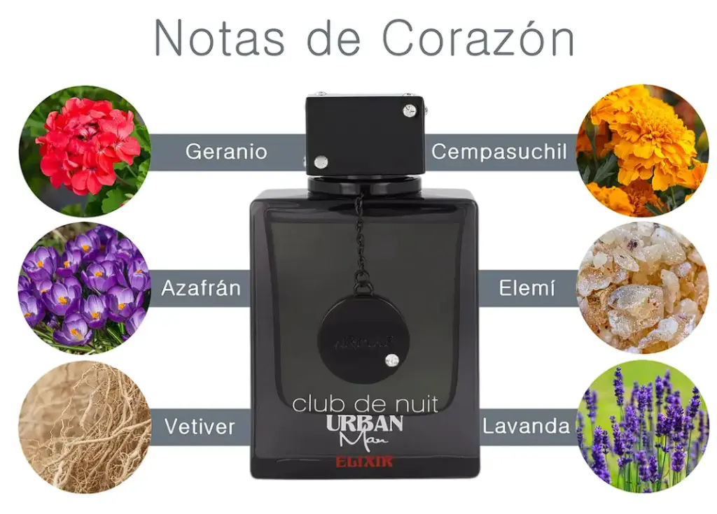 Captura de pantalla 2026-05-13 111802.webp