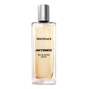 Perfume Masculino ANTONOV by Reino