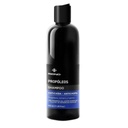 Shampoo Tonificante de Propóleos Anticaspa y Anticaída Reino
